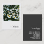 Carte De Visite Photo carré 042 - Daisies (Devant / Derrière)