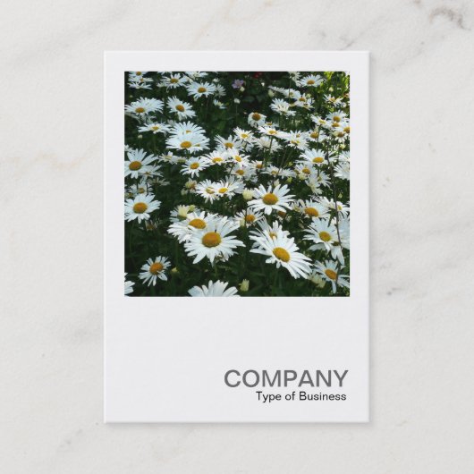 Carte De Visite Photo carré 042 - Daisies (Devant)
