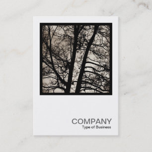 Carte De Visite Photo carré 0433 - Arbre Spirits