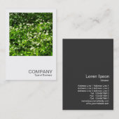 Carte De Visite Photo carré 0467 - Ail sauvage (Devant / Derrière)