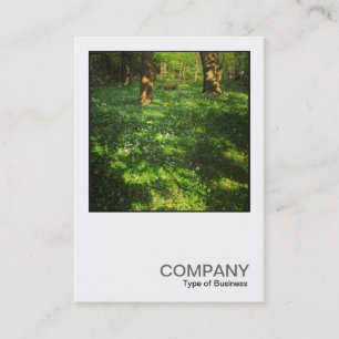 Carte De Visite Photo carré 0469 - Printemps dans les bois