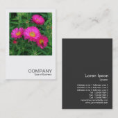 Carte De Visite Photo carré 0493 - Michaelmas Daisies 02 (Devant / Derrière)