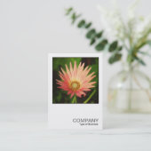 Carte De Visite Photo carré 0506 - African Daisy (Debout devant)
