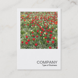 Carte De Visite Photo carré 0509 - Lit de tulipes