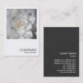 Carte De Visite Photo carré 0512 - Camellia blanche (Devant / Derrière)