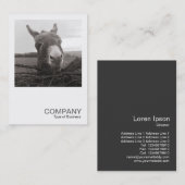 Carte De Visite Photo carré 0589 - Donkey amical (Devant / Derrière)