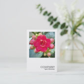 Carte De Visite Photo carré 0595 - Kalanchoe (Debout devant)