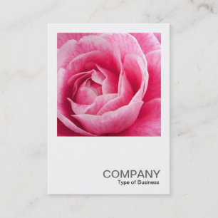 Carte De Visite Photo carré 082 - Camelie rose