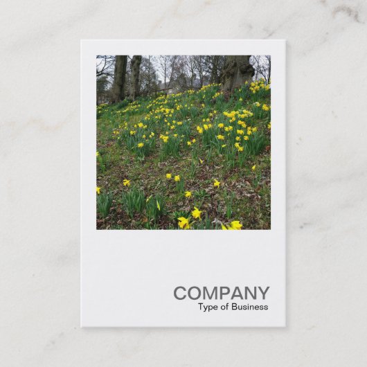 Carte De Visite Photo carré 083 - Daffodils dans le parc (Devant)
