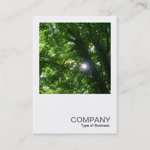 Carte De Visite Photo carré 093 - Soleil dans les arbres