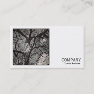 Carte De Visite Photo carré (v2) - Arbre de Magnolia