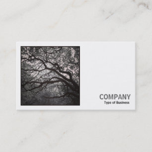 Carte De Visite Photo carré (v2) - Arbre de Magnolia en fleurs 01