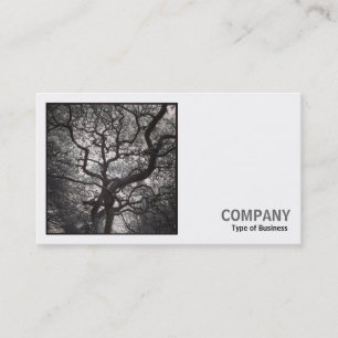 Carte De Visite Photo carré (v2) - Arbre de Magnolia en fleurs 03