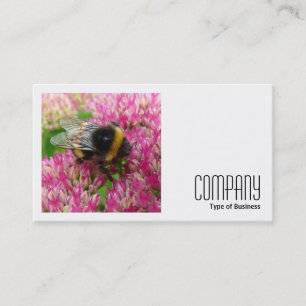 Carte De Visite Photo carré (v2) - Bumble Bee sur Sedum