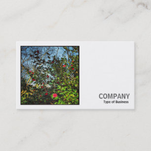 Carte De Visite Photo carré (v2) - Camellia Bush