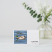 Carte De Visite Photo carré (v2) - Canard colvert (Debout devant)