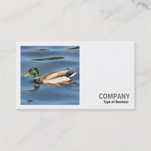 Carte De Visite Photo carré (v2) - Canard colvert (Devant)