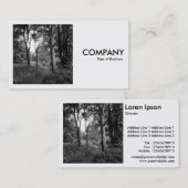 Carte De Visite Photo carré (v2) - Chemin dans les bois (Devant / Derrière)