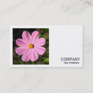 Carte De Visite Photo carré (v2) - Cosmos rose
