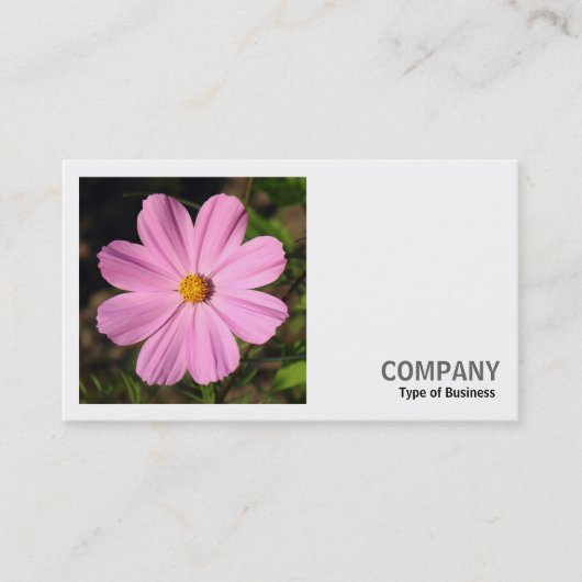 Carte De Visite Photo carré (v2) - Cosmos rose (Devant)