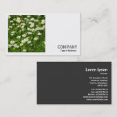 Carte De Visite Photo carré (v2) - Daisy Meadow (Devant / Derrière)