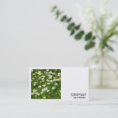 Carte De Visite Photo carré (v2) - Daisy Meadow (Debout devant)