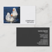 Carte De Visite Photo carré (v2) - Deux oies d'Emden (Devant / Derrière)