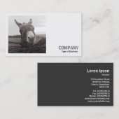 Carte De Visite Photo carré (v2) - Donkey amical (Devant / Derrière)