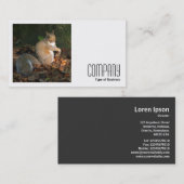 Carte De Visite Photo carré (v2) - Écureuil gris (Devant / Derrière)