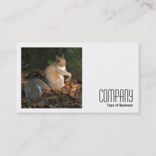 Carte De Visite Photo carré (v2) - Écureuil gris