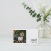 Carte De Visite Photo carré (v2) - Écureuil gris (Debout devant)