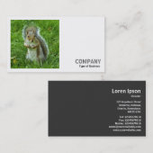 Carte De Visite Photo carré (v2) - Écureuil gris étoilé (Devant / Derrière)