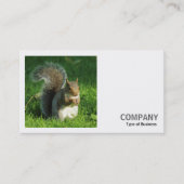 Carte De Visite Photo carré (v2) - Écureuil gris mangeant des noix (Devant)