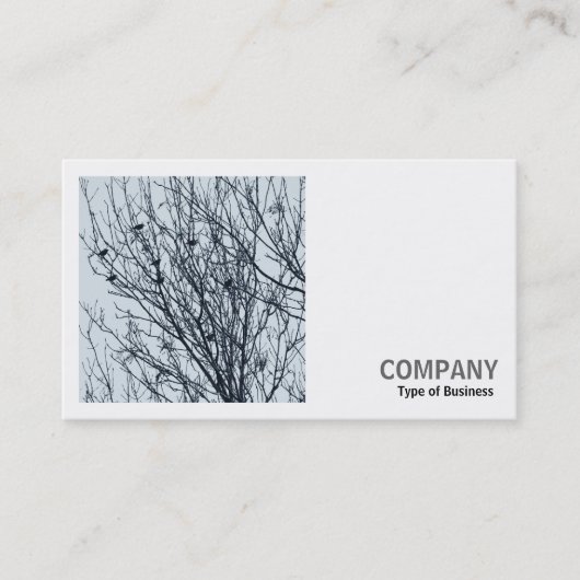 Carte De Visite Photo carré (v2) - Étoiles dans un arbre (Devant)