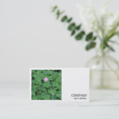 Carte De Visite Photo carré (v2) - Géranium solitaire (Debout devant)