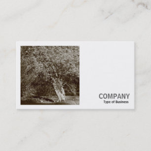 Carte De Visite Photo carré (v2) - Holly Tree - Sepia