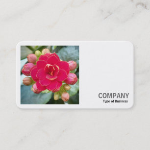Carte De Visite Photo carré (v2) - Kananchoe