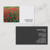 Carte De Visite Photo carré (v2) - Lit de tulipes rouges 01 (Devant / Derrière)