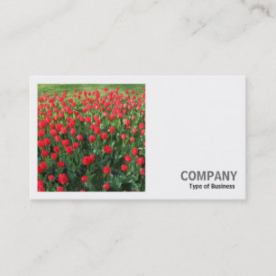 Carte De Visite Photo carré (v2) - Lit de tulipes rouges 01