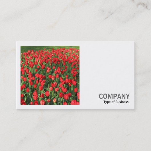 Carte De Visite Photo carré (v2) - Lit de tulipes rouges 02 (Devant)