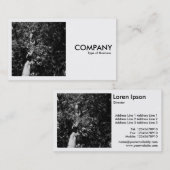 Carte De Visite Photo carré (v2) - London Plane Tree (Devant / Derrière)