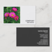 Carte De Visite Photo carré (v2) - Michaelmas Daisies 02 (Devant / Derrière)