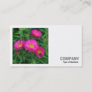 Carte De Visite Photo carré (v2) - Michaelmas Daisies 02
