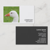 Carte De Visite Photo carré (v2) - Oie blanche (Devant / Derrière)