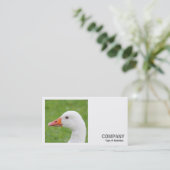 Carte De Visite Photo carré (v2) - Oie blanche (Debout devant)