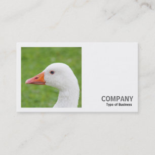 Carte De Visite Photo carré (v2) - Oie blanche