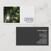 Carte De Visite Photo carré (v2) - Soleil à travers les arbres (Devant / Derrière)