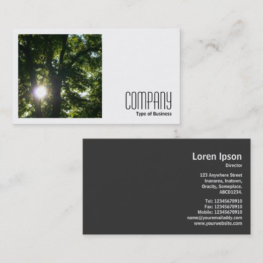 Carte De Visite Photo carré (v2) - Soleil à travers les arbres (Devant / Derrière)