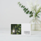 Carte De Visite Photo carré (v2) - Soleil à travers les arbres (Debout devant)