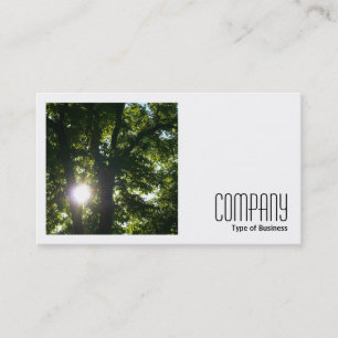 Carte De Visite Photo carré (v2) - Soleil à travers les arbres